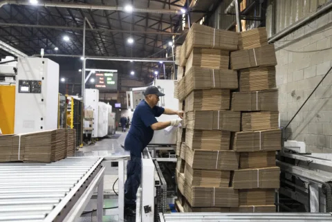 Operario apilando cajas de cartón corrugado plegadas en la línea de conversión de Rainap