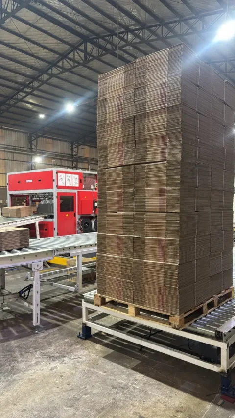 Pallet de cajas de cartón corrugado terminadas, listas para despachar
