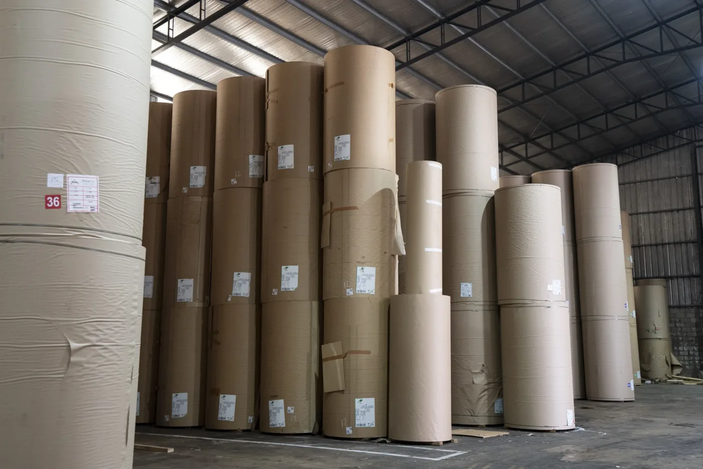 Tortas de papel de distintos anchos apiladas en el depósito de Rainap